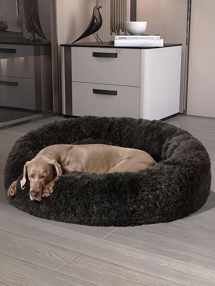 Cama Donut para Perros y Gatos – Suave, Acolchada y Confortable