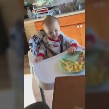 Gyro Bowl Plato Antiderrames Para Niños